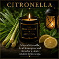 Citronella - 8oz Luxury Coconut Hybrid Candle