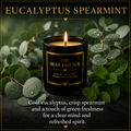 Eucalyptus Spearmint - 8oz Luxury Coconut Hybrid Candle
